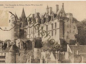 Loches - Vue d'ensemble du Château Charles VII [004-5183)
