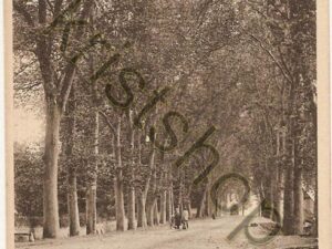 Paray le Monial - Allée du Pélerinage  [004-5187)