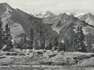 Hornberg [004-5258