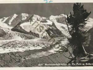 Morteratschgletscher m. Piz Palü u. Bellavista  [004-5280