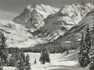 Grindelwald - Wetterhorn  [004-5287