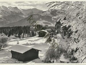 Flims - Waldhaus - Prau sura  [004-5362