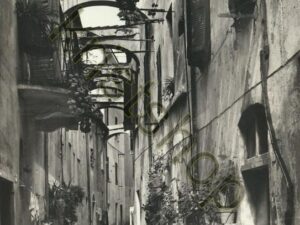 Noli - Una via caratteristica [004-5490