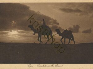 Cairo - Eventide in the Desert  [004-5584