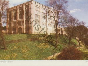 Norwich - The Castle [004-5915