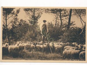 Les Paysages    - d'Art d 'E Vignes [004-6416