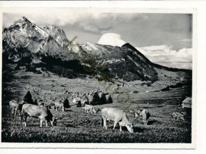 Obertoggenburg - Wildhaus mit Schafberg [004-7123