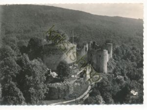 Dornach - Ruine - Fliegeraufnahme [004-7188