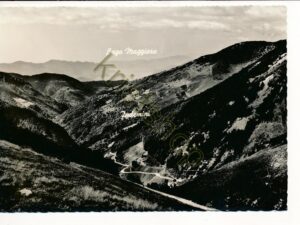 Vista dall'Alpe di Neggia e Lago Maggiore [004-7251