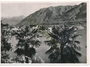 Ascona [004-7276