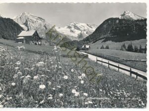 Obertoggenburg - Am Weg zum Alpli [004-7364