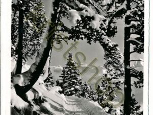 Arosa - Arlenwaldstrasse [004-7517