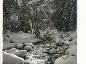 Adelboden - Am Weg nach Alp Engstligen [004-7637