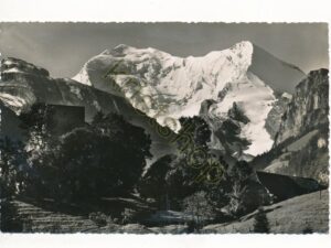 Ruine Tellenburg - Fruttigen [004-7640