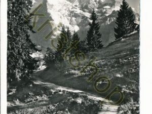 Bei Mürren am Weg n Grütschalp [004-7659
