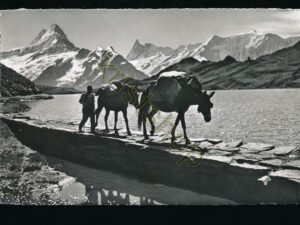 Bachalpsee - Faulhornpost [004-7713