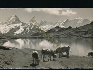 Grindelwald - Bachsee am Faulhorn [004-7826