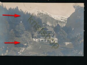 Grindelwald - Waldhotel Villa Bellary [004-7969