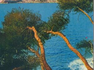 Monte Carlo - Vue prise du Cap-Martin [005-0101