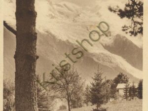 Chamonix - Le Mont-Blanc [005-0127