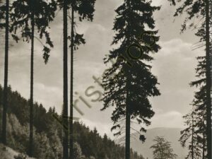 Der schöne Harz [005-0173