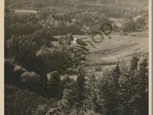 Assmannshausen a Rh - Dichter u Künstlerheim KRONE [005-0210