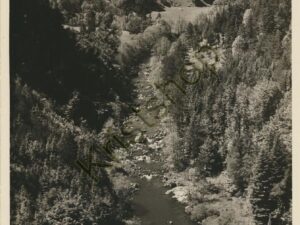 Assmannshausen a Rhein - Weinstube ALTEN HAUS [005-0211