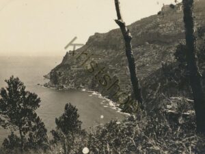 Mallorca - Costa de Bañalbufar [005-0496