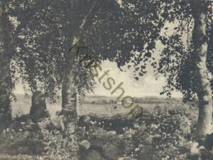 Raageleje - Udsigt mod Syd [005-0542