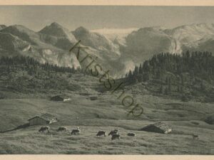 Gotzenalm bei Berchtesgaden [005-0583
