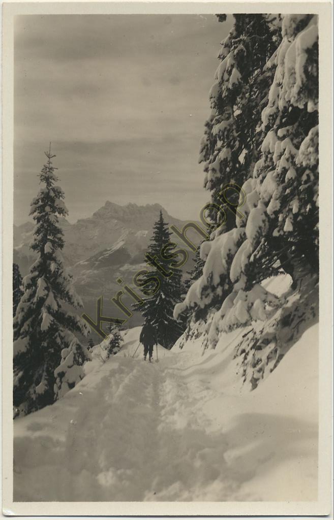 KRST005-0663_0.jpg Leysin - Les Dents du Midi en hiver [005-0663