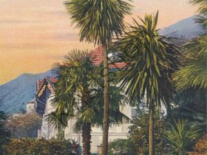 Gruß aus dem Tessin [005-0691