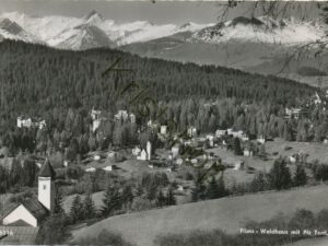 Flims - Waldhaus mit Piz Terri  [005-0836