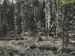 Gerardmer [005-0984