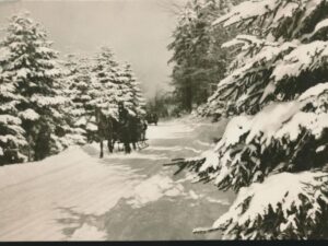 Herzliche Neujahrsgrüße [005-1067