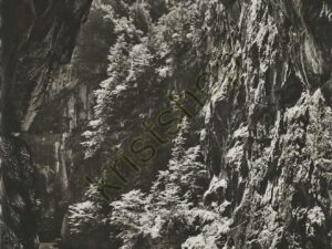 Aareschlucht [005-1186
