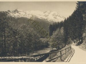 Badgastein - Elisabeth-Promenade [005-1253