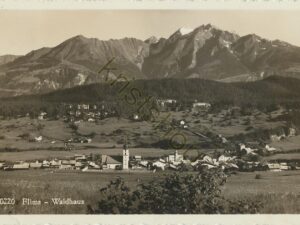 Flims - Waldhaus [005-1314