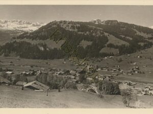 Lenk [005-1343
