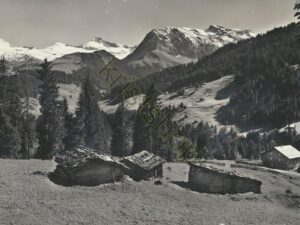 Adelboden - Stiegelschwand [005-1469