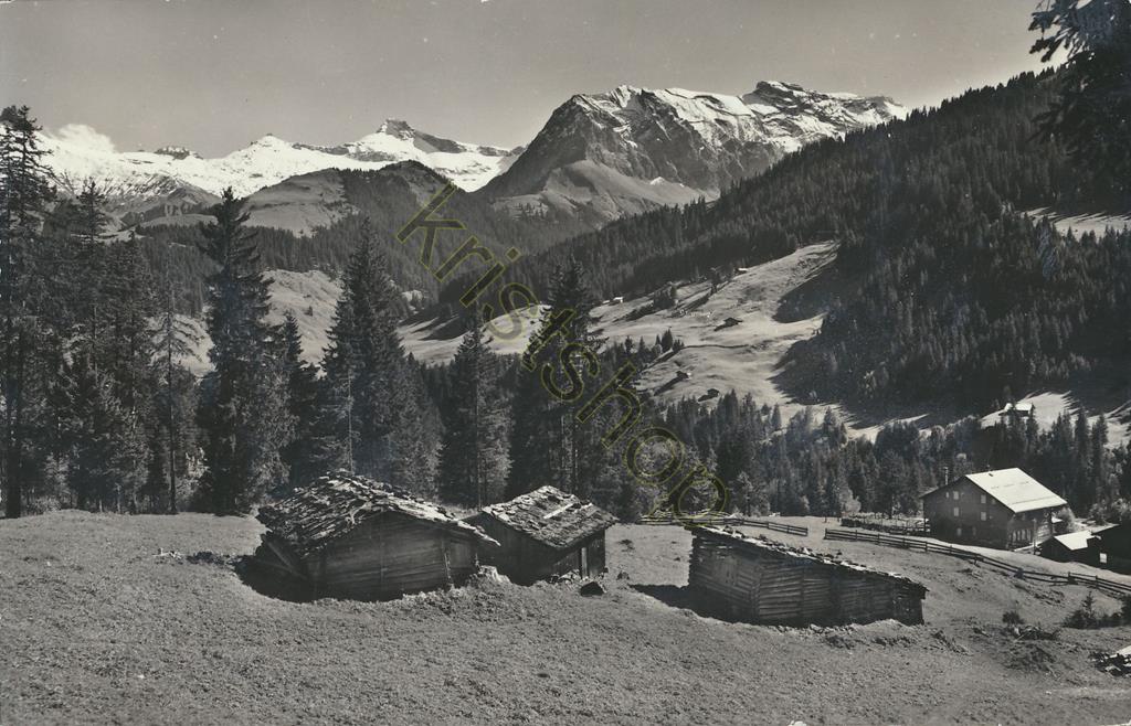 KRST005-1469_0.jpg Adelboden - Stiegelschwand [005-1469