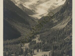 Ober Engadin - Rosetal bei Pontresina [005-1474