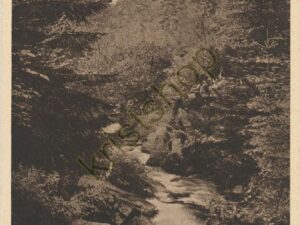Silbertal - Teutoburger wald [005-1959