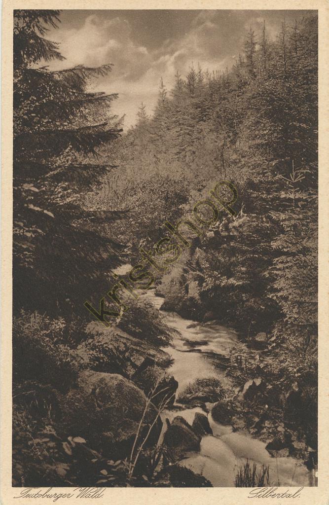 KRST005-1959_0.jpg Silbertal - Teutoburger wald [005-1959