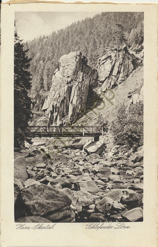 KRST005-1964_0.jpg Harz-Okertal - Schlafende Löwe [005-1964
