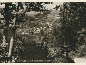 Waldweg mit Durchblick auf Bröt [005-1970