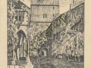 Heidelberg - Im Schloßhof [005-2542