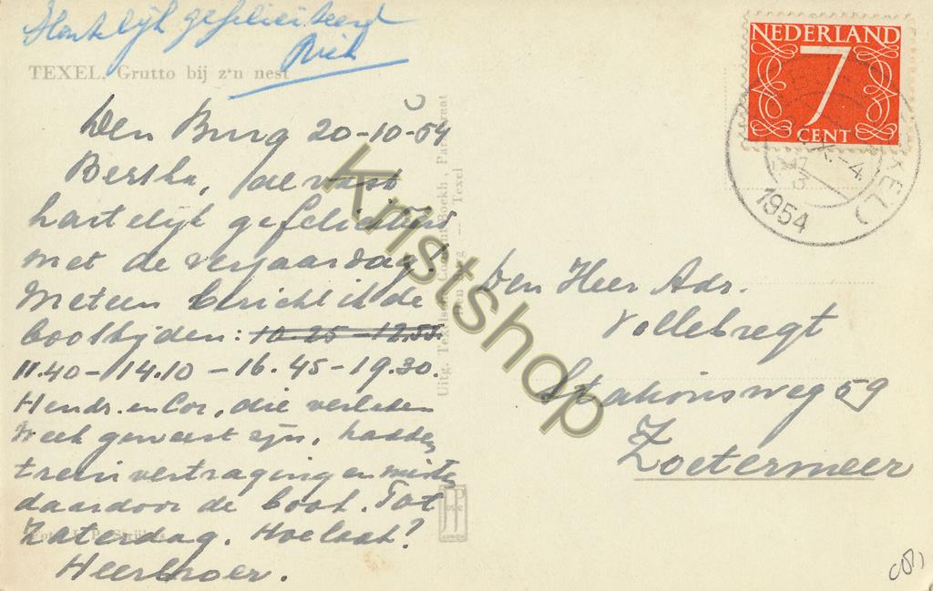 KRST005-2581_1.jpg Texel - Grutto bij zijn nest [005-2581 - Afbeelding 2