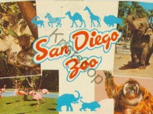 San Diego ZOO [005-2647