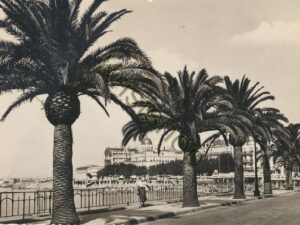 Saint-Raphaël - Boulevard Félix Martin [005-2650